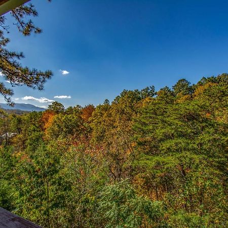 Ladybug Resort Romantic Cabin With Mountain Views, Game Room, Close To Dollywood Sevierville Exteriör bild