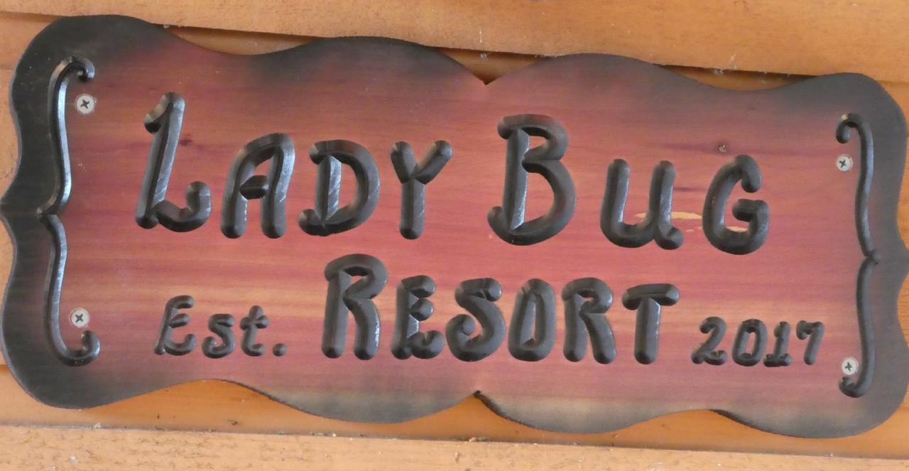 Ladybug Resort Romantic Cabin With Mountain Views, Game Room, Close To Dollywood Sevierville Exteriör bild